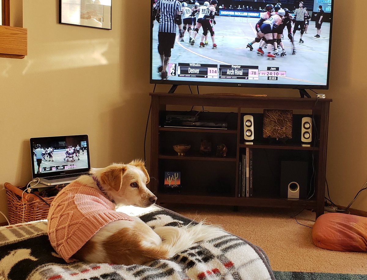 ASteingisser's tweet image. The game is the other direction, but DERBY CHAMPS #dogsofwftda #dogsinsweatersofwftda #wftfachamps #talk2wftda