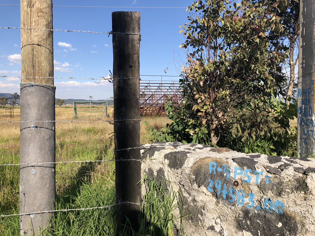 Pelotauro's tweet photo. En Pastejé aún se escuchan los ecos de los maderos, guantes y pelotas en acción. Aquí se forjaron figurones de la #LMB.
Los aires nostálgicos de aquellos viajes al lado de Tommy, De la Serna, Camarillo, Alex León, @hecligo, por citar a algunos grandes periodistas.
¡Qué años! https://t.co/KYBe5Y3iox