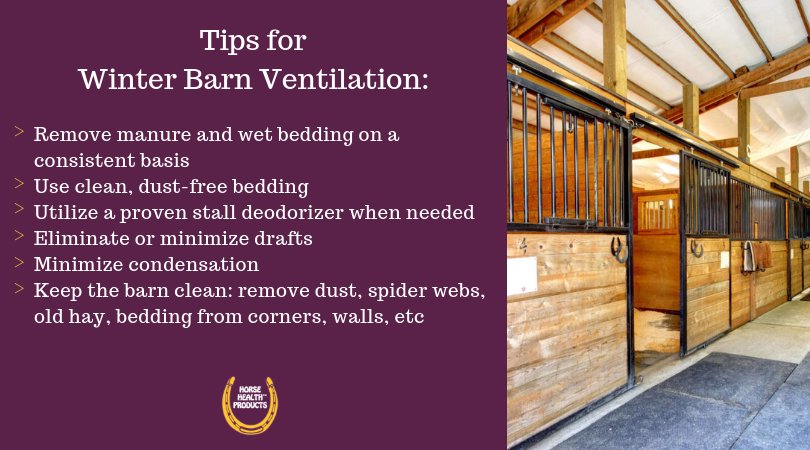 Horse Health Product On Twitter Here Are Some Basic Tips To Help