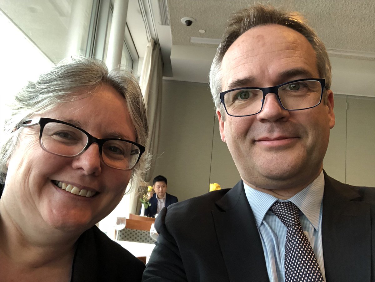EUAmbAdamson's tweet photo. Handover of Outgoing and incoming DSRGs PolMINUSMA https://t.co/gQLOOelztv