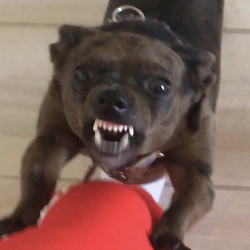 CAVETOWN's tweet image. When ur life is spiralling both into and out of control simultaneously