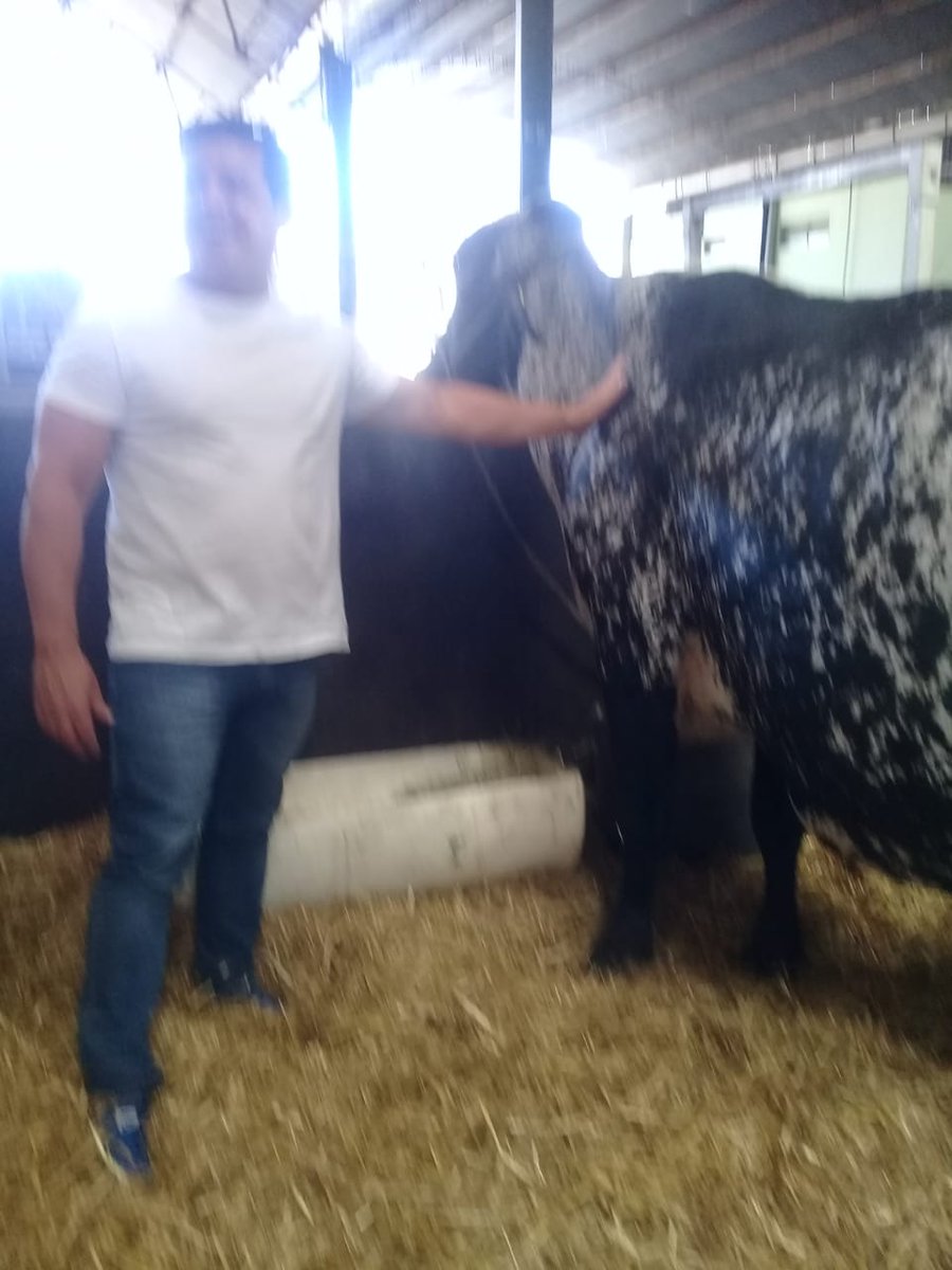 ileoreiz's tweet photo. Visitinha do meus veio e meu tio bomba https://t.co/hCrJHKkUTJ