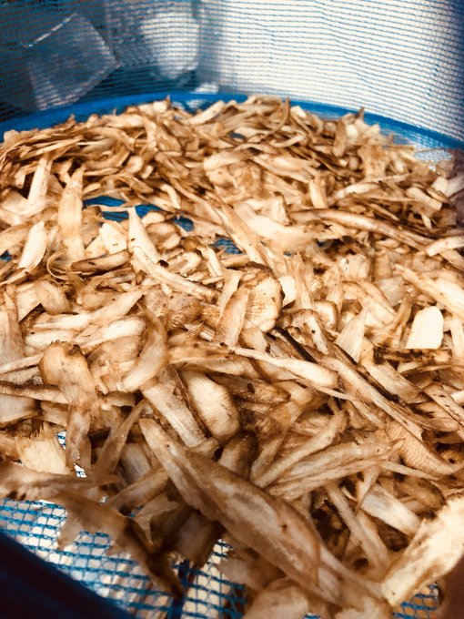 ごぼう茶好きすぎて作った   ささがきが結構しんどかった… 