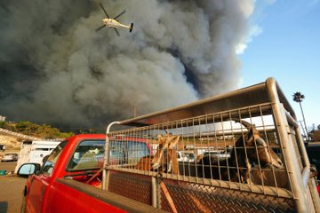 Προβολή εικόνας στο Twitter