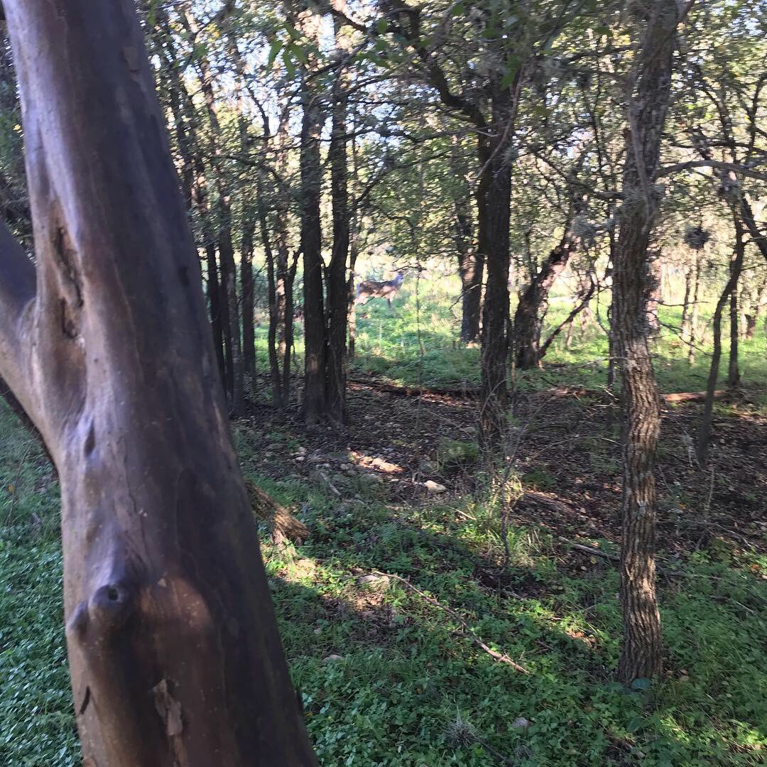 hgcoutdoors's tweet image. I can never get enough of being out in the woods, in Gods Country Outdoors. 
Scent Off. Game On. #scentcrusher #badlandspacks #hgcoutdoors