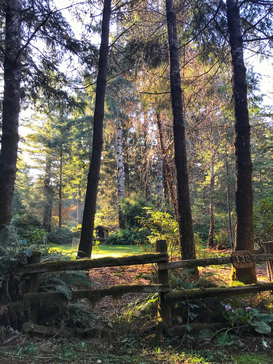 justingroach's tweet image. Humboldt County, California