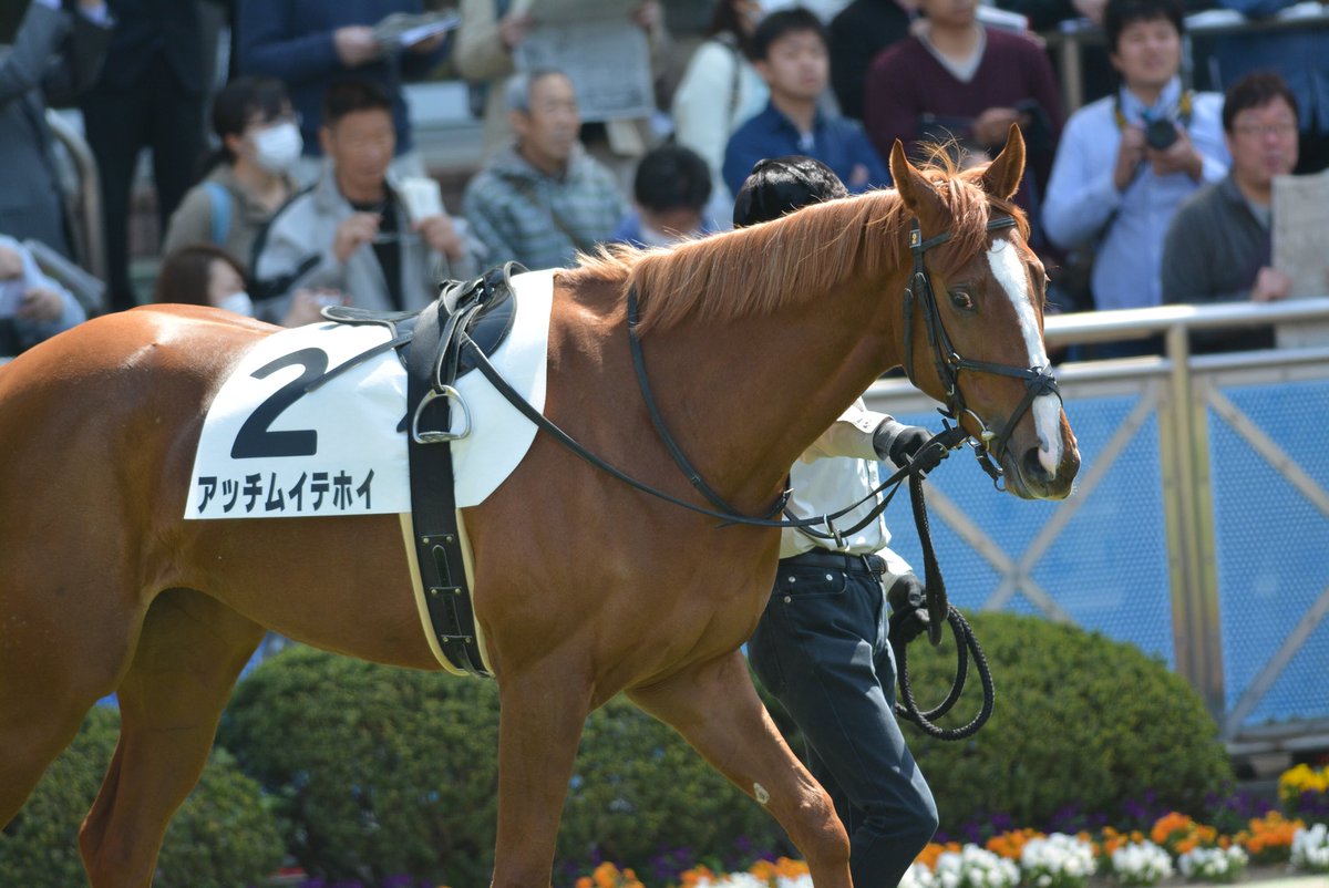 風太 در توییتر 競馬場には面白い名前の馬がたくさんいたり 馬だけではなくグルメも充実していたり 時にはタダで何かもらえたりします 興味持たれた方は是非一度競馬場に足を運んでみてください きっと新しい世界が そう きっとここから始まる