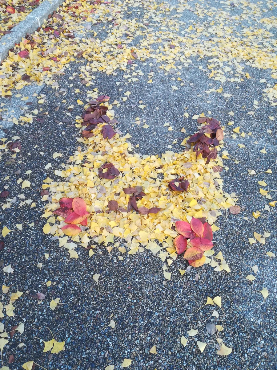 芸術の秋！落ち葉で作る作品ｗｗｗずっと残らないこそ尊いかもｗｗｗ