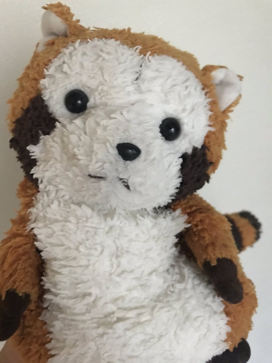 rrascal05's tweet image. 今日はお風呂に入ったミャ🛁
きれいになったね！
明日はしっぽの日だねぇ💭
#ラスカル