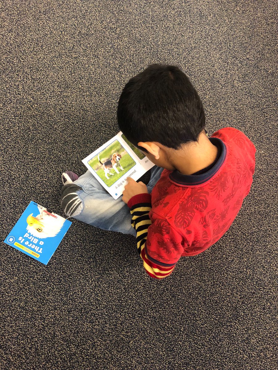 KirchnerKinders's tweet photo. We are working on building our reading stamina during Literacy Centers! #gradeone #bissetschool #epsb #literacy #learninghowtoread https://t.co/FaOu5woEUP