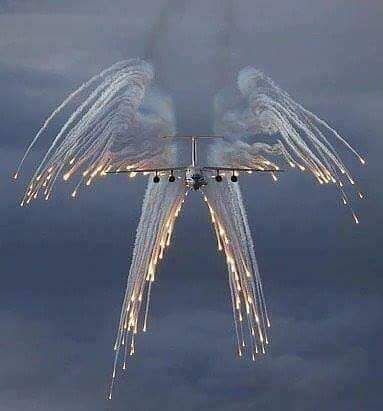 free discharge