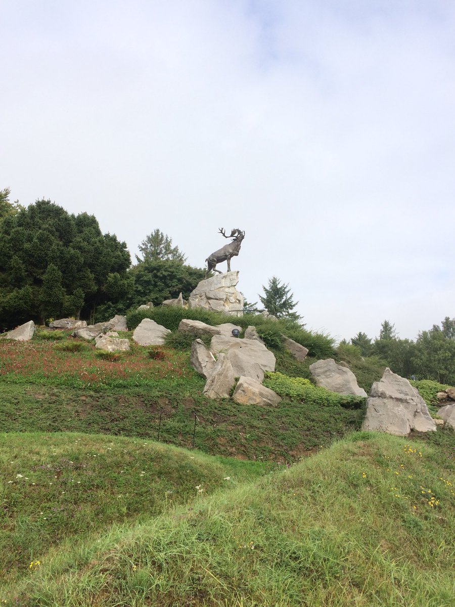 This March 30 Notre Dame students will travel to see Vimy Ridge, Ypres and Beaumont Hamel.  This Remembrance Day marks the 100th anniversary of the Great War.  By having students experience these sites we will keep the memory of those who sacrificed alive.