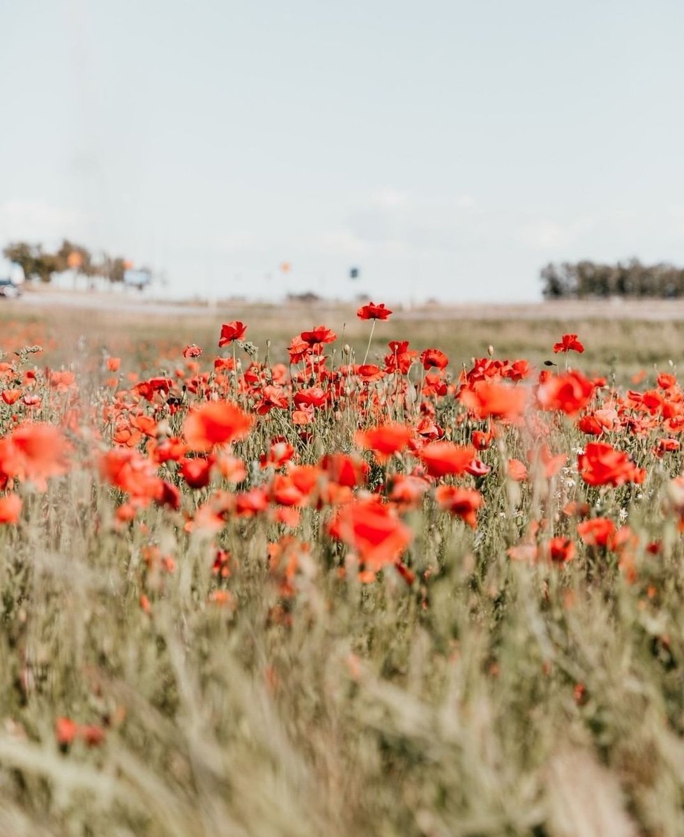 Canadian UAVs (@canadianuavs) on Twitter photo 
