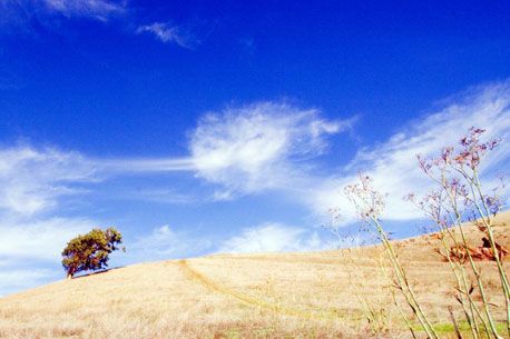 DougForbes's tweet image. 5 Things You Can Start Doing Today to Change Your Life
bit.ly/2zBANnh
#personaldevelopment #GrowthHacking #SelfImprovement