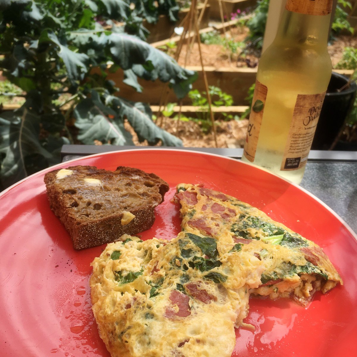 Today’s #gourmet lunch: #silverbeet and #salami #omelette with #ryeSourdough toast and a #cider 
I still have more silverbeet so there will be more recipe ideas to follow
#ImadeThis #IgrewThis #myGarden #garden #veggieGarden #edibleGarden #melbourne #australia #eltham #foodPorn