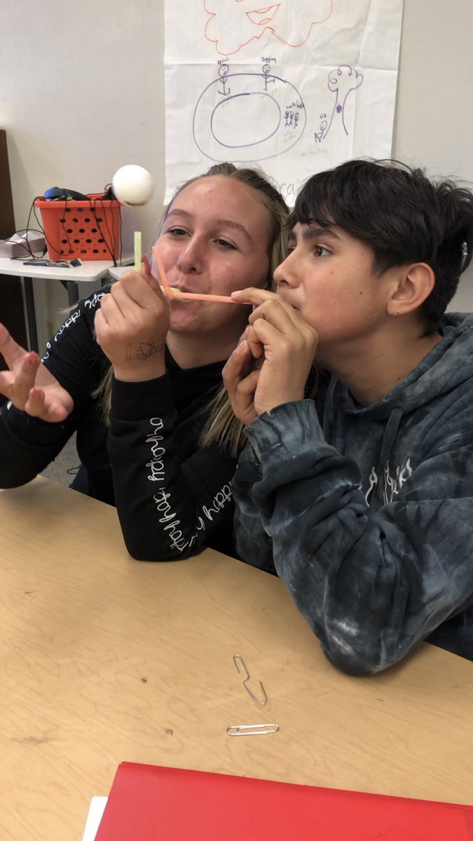 tjsiev22's tweet image. #sciencechallenge #1Team1vision