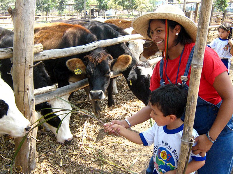Schooltrips1's tweet photo. ✨Visitas de Estudio Granja Heidy 
FULL DAY 🐄🌾
Recreando educamos y reforzamos principios, valores y cambios de actitud en nuestros visitantes así como propiciamos la alimentación saludable necesaria para forjar mejora personas.
💰Precios desde $33.00 https://t.co/xaR2Vb63LH
