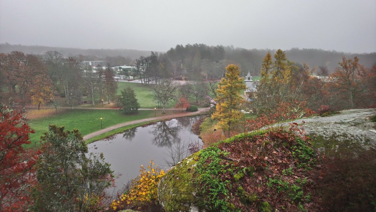 HakanssonC's tweet image. Härligt morgonpass i novemberdis i vackra brunnsparken och brunnsskogen. #ronneby Ett 15-tal från #RIF18 tog chansen och njöt av löpning. @SISUIdrottsutb @RFidrotten @PatriciBlekinge @trimtexsport