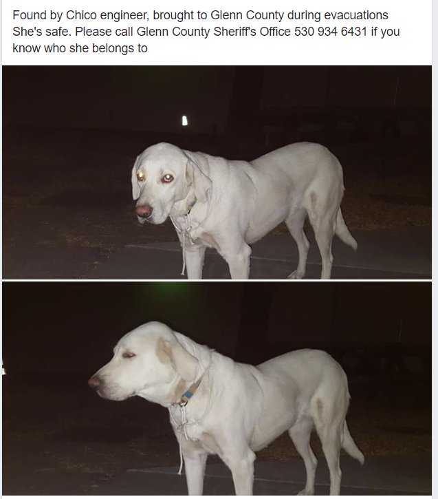 KittyfromVA's tweet image. This is a post from Facebook: 
#CampFireJamesWoods #CampFire  and #SoCalFiresJamesWoods #WoolseyFire