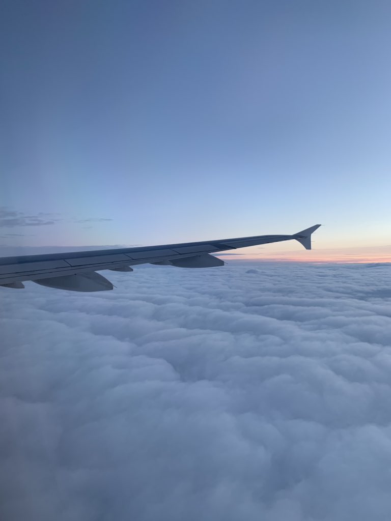 thatjohn's tweet photo. #thatjohnproblems: this is the only sunlight I’m likely to see today, but also I am very tired and want a nap. #thatjohnonAY https://t.co/TAloUXtBnr
