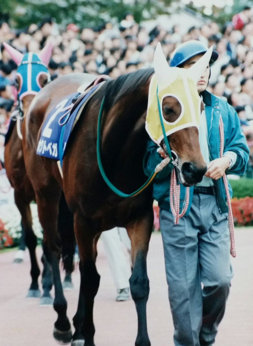 ホクトベガ