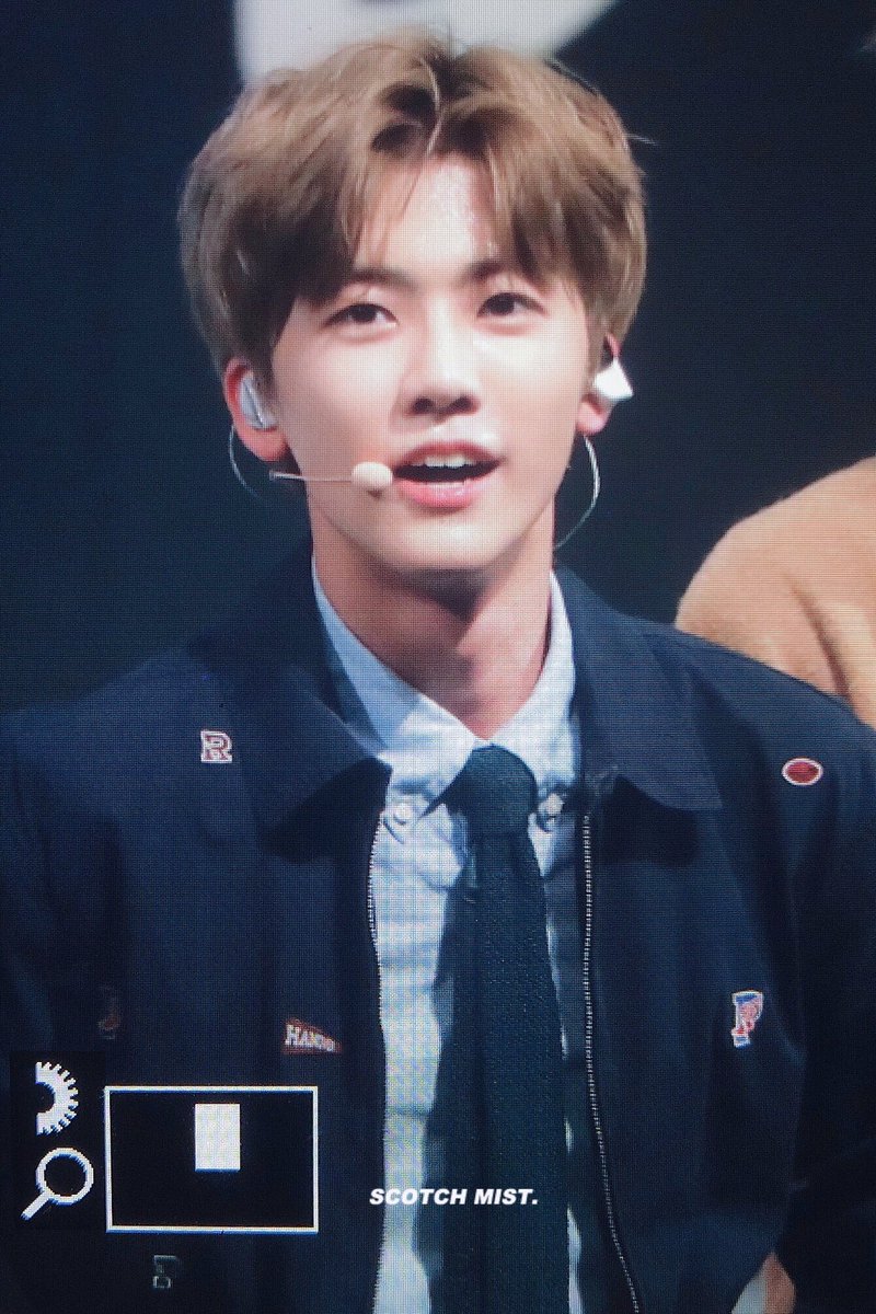 스코치미스트🌫 tweet media