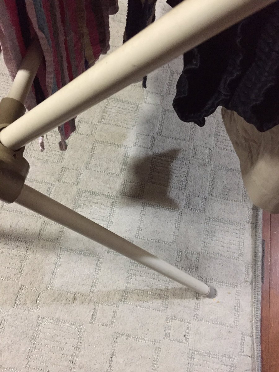 Ulde2076's tweet photo. 息子が「あき（うちのぬこ）の影かと思ったら違う。」と指差した床に、きれいなシルエットが？→ https://t.co/QDiLwasVHN