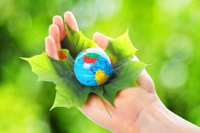 EuroBiomassConf's tweet photo. #Biomass #Biofuel #Bioenergy #Bioeconomy #Biorefinery #Sustainableenergy #RenewableEnergy #Energytransition #Energystrategy #Energypotential #Energyefficiency #chemicalengineering #Biomassconversionmethods For more details about sessions and tracks visit:https://t.co/SOkoRYZX7X https://t.co/WC1NsWv3hG