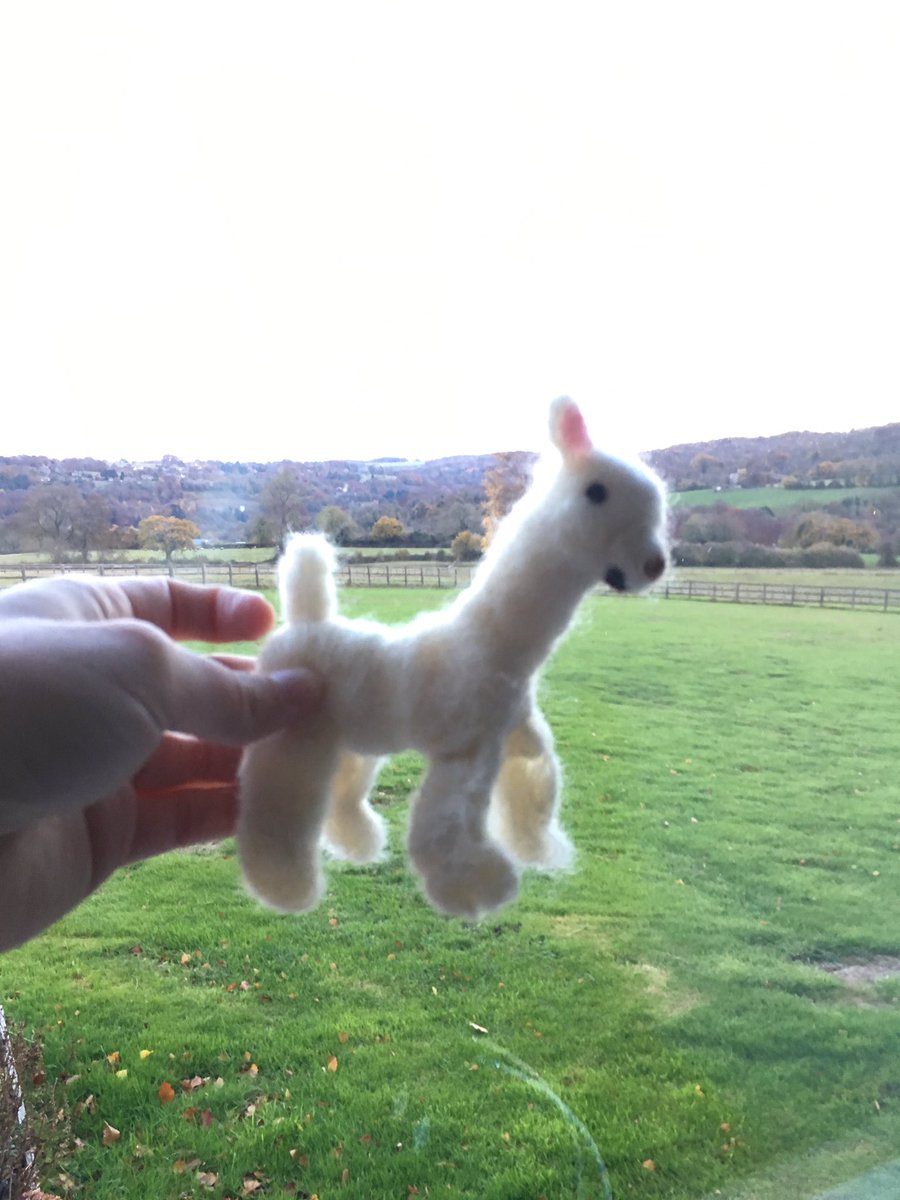 offord_kimberly's tweet photo. First time felting some llamas dint turn out too bad .... https://t.co/R03zHQaIS5