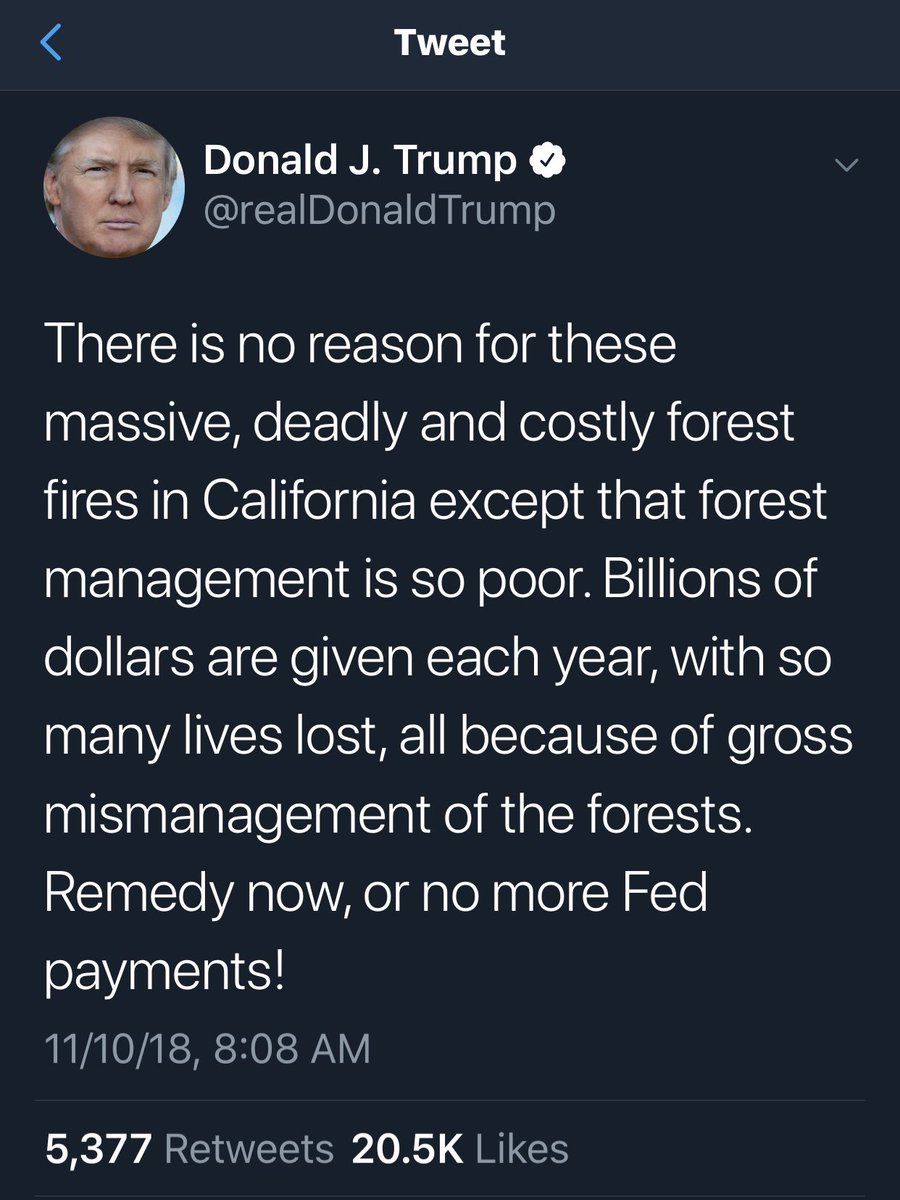 Sean Dawson tweet media
