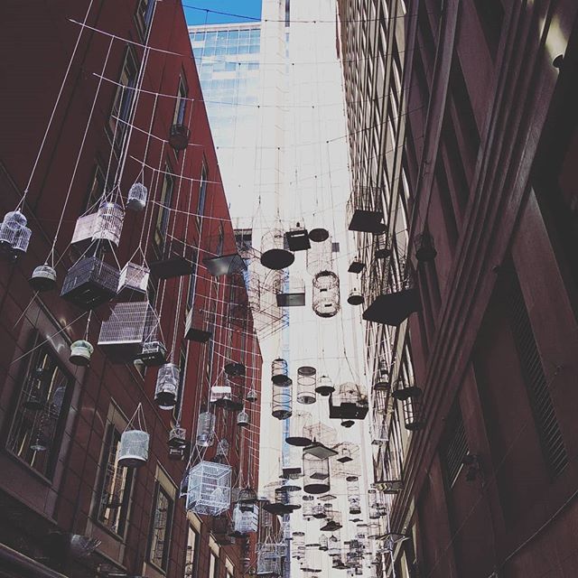 Cuenta la leyenda que los pájaros que volaban por la ciudad, huyeron a otros destinos cuando la urbe se transformó en una jungla de cemento. En homenaje a ellos, crearon esta obra con parlantes incluidos para escuchar los cantos olvidados.
Otra postal de… ift.tt/2QzPtKT