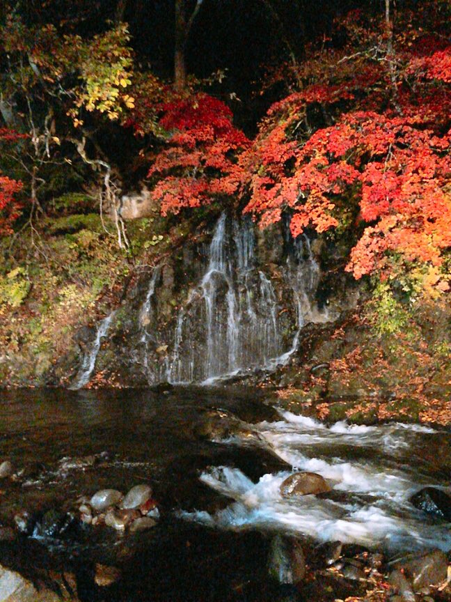 shun1128710's tweet photo. 今年の秋は綺麗な紅葉いっぱい
見れてよかったなぁ〜☺️
また来年も見に行きたい🍁 https://t.co/0oiTO6aK8C