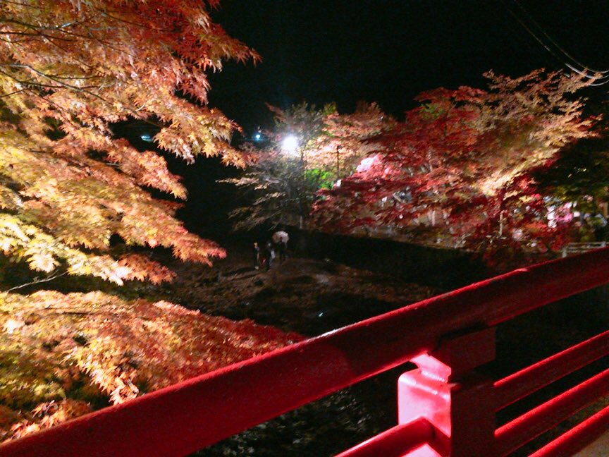 shun1128710's tweet photo. 今年の秋は綺麗な紅葉いっぱい
見れてよかったなぁ〜☺️
また来年も見に行きたい🍁 https://t.co/0oiTO6aK8C