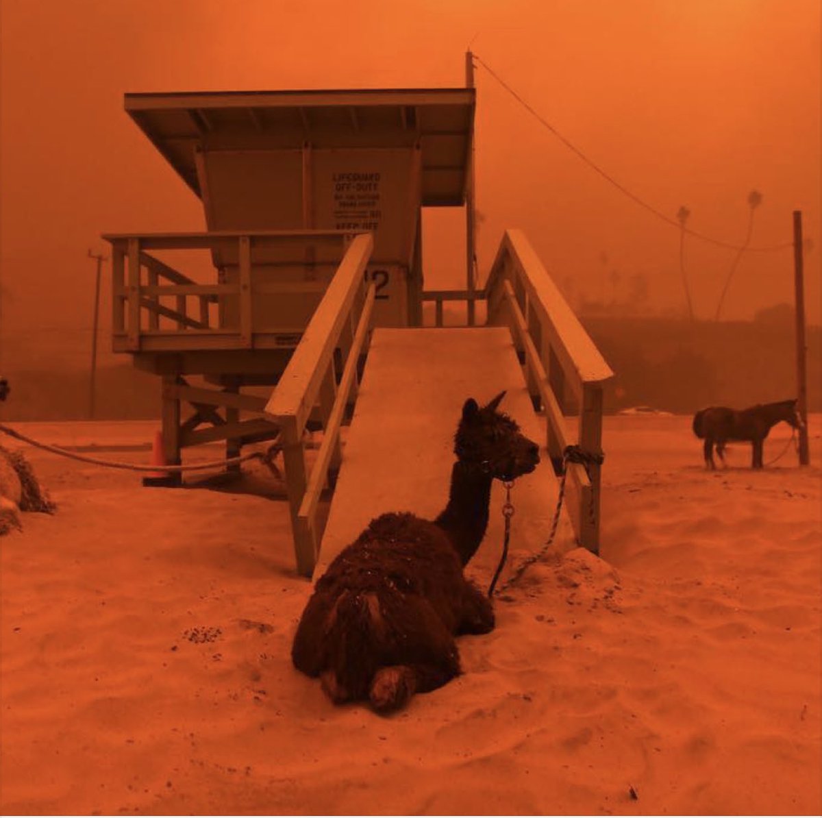 christophergia's tweet photo. Sending positive vibes to my fellow #Angelenos in the valley and up the coast... #StaySafe. If anyone needs a place to go, let us know #CaliforniaWildFires #WoolseyFire #Malibu #Calabasas #WestlakeVillage #HiddenHills #AgouraHills #ThousandOaks https://t.co/XzmheRtXlb