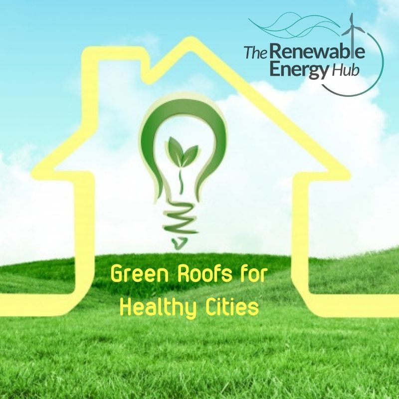 the_renewable's tweet photo. To have green roofs is important for healthy cities.

Green Roofs for Healthy Cities (GRHC) develops and protects the market by increasing the awareness of the economic, social and environmental benefits of green roofs.

Visit > > https://t.co/PRTCfwG3Eu

#GoGreen #GreenEnergy https://t.co/AwgMenWA0i