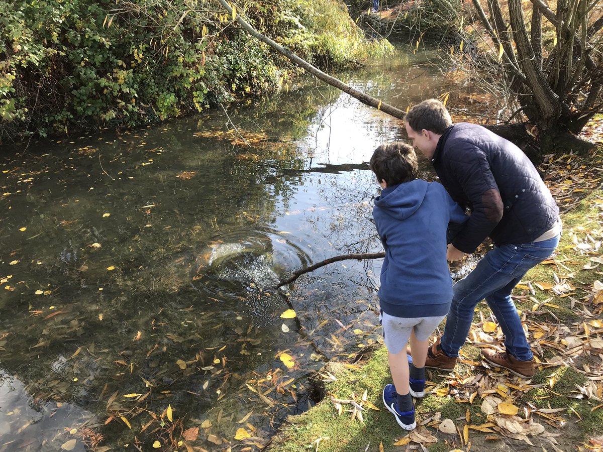 Christ Church tweet media