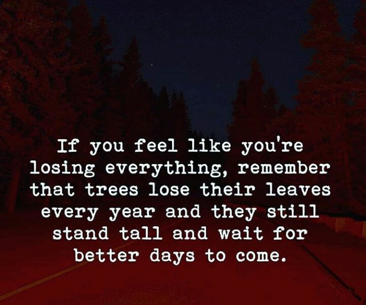 If you feel like you are losing everything, remember that trees lose their leaves every year and they still stand tall and wait for better days to come