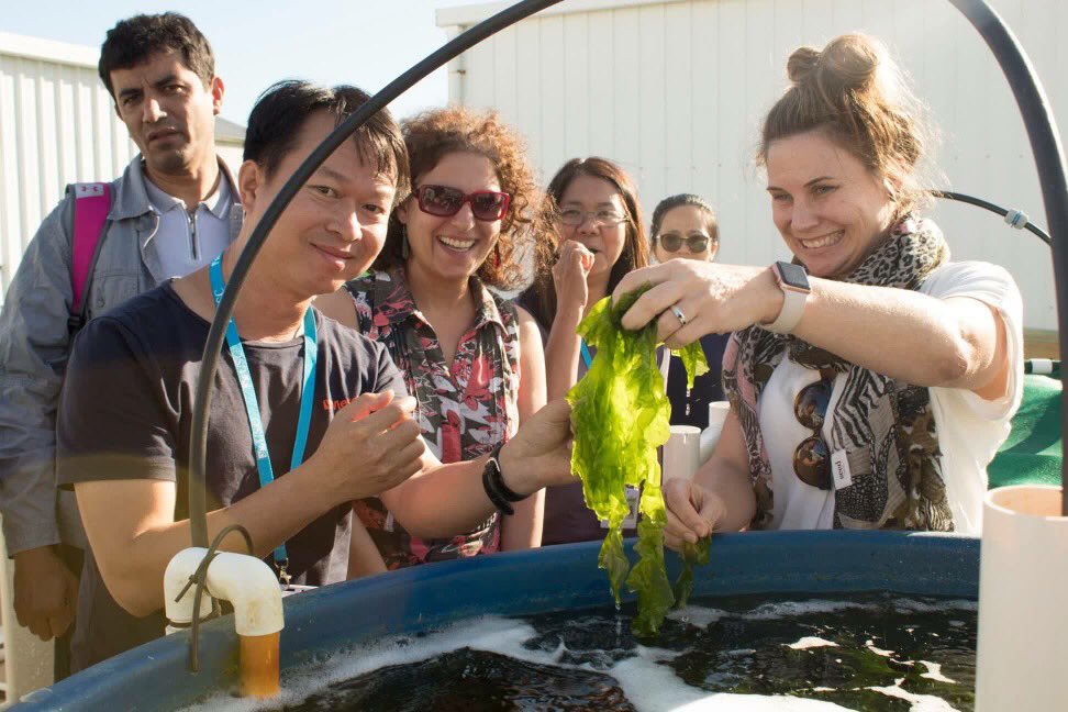 Shahla_HBai's tweet photo. University of the Sunshine Coast representative and Australian Centre for International Agricultural Research John Dillon Fellow Dr Elizabeth Swanepoel is sharing her knowledge about her work at Pacific about seaweed with John Dillon Fellows funded by ACIAR At the Bribie Island. https://t.co/A9dQAEYU0M