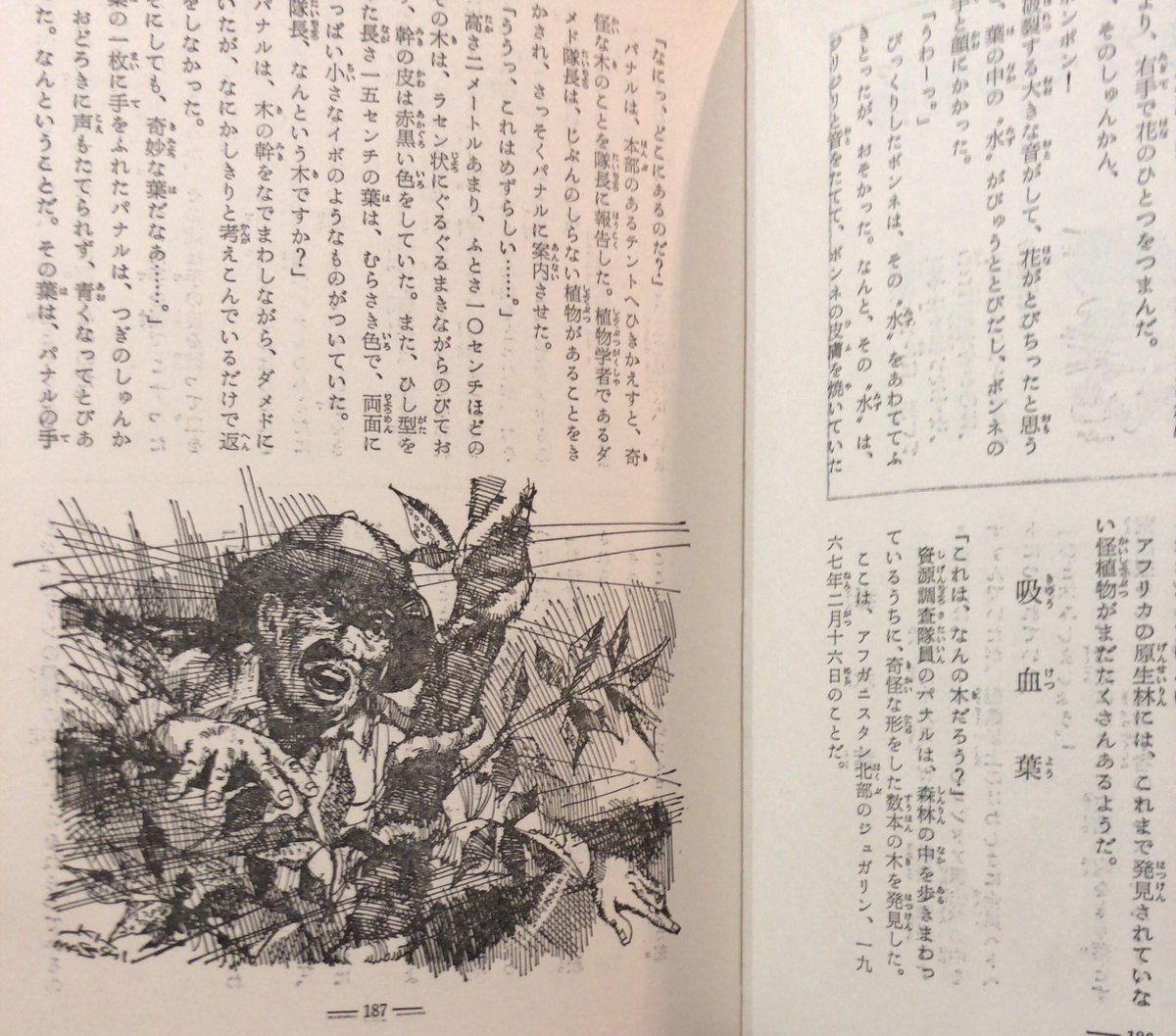 トラウマbot 中岡俊哉 世界のウルトラ怪事件 1984 T Co Rhunyrkmp2 T Co M1icwibpav