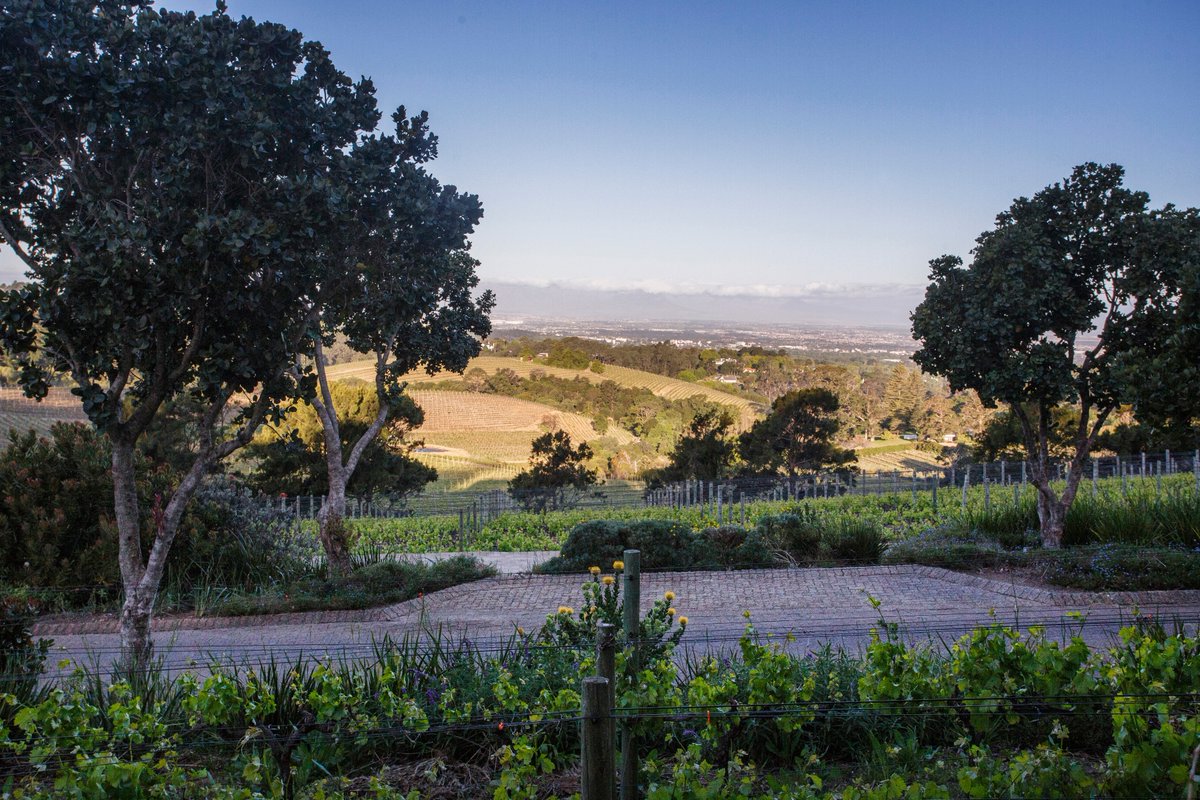 AtTheNek's tweet photo. When that's your view, why would you dine anywhere else?

Call to book 021 795 0688. https://t.co/pPSMOnZLf6