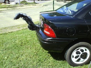 canadahightours's tweet photo. “PUT the SKUNK in the TRUNK” #Canadian Govt #advertising awareness begins in an effort to educate those #driving whilst in possession of their 30 gram #cannabis limit..said no one. Buy a $10 cash box, put it in the trunk and stay within the law.
@canadahightours #legal #cashbox https://t.co/bGokQBOLXZ