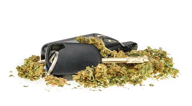 canadahightours's tweet photo. “PUT the SKUNK in the TRUNK” #Canadian Govt #advertising awareness begins in an effort to educate those #driving whilst in possession of their 30 gram #cannabis limit..said no one. Buy a $10 cash box, put it in the trunk and stay within the law.
@canadahightours #legal #cashbox https://t.co/bGokQBOLXZ