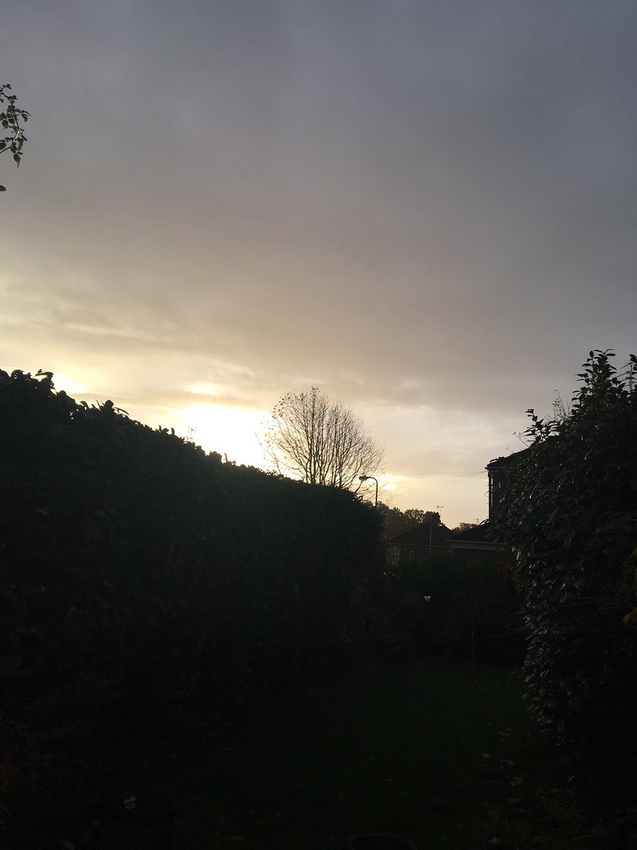 steve__francis's tweet image. Could it be actual sunshine for the @Mo_Running #cardiff #10k this morning? 😳🌤 #moruncardiff #morun #movember