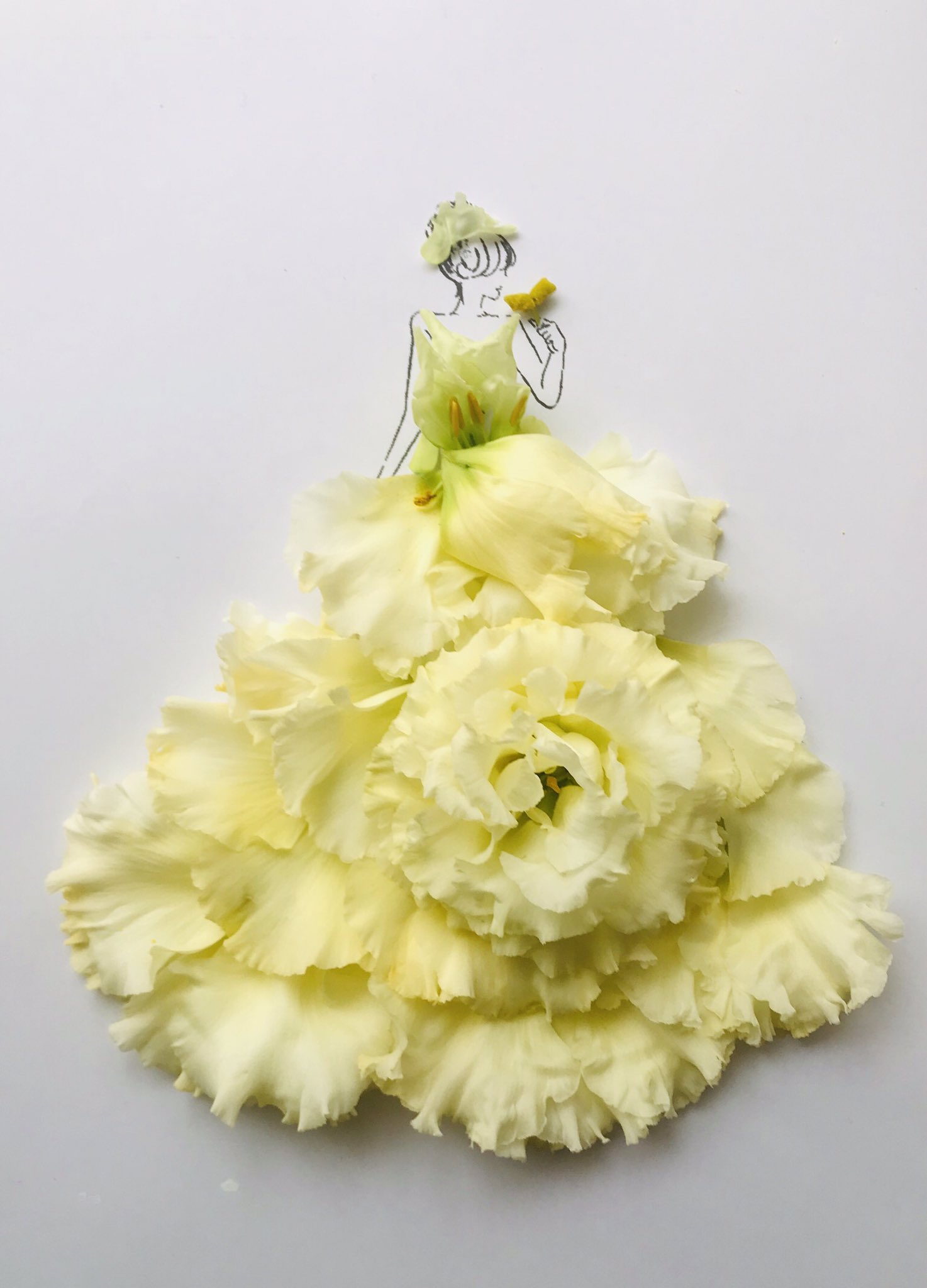 Coco はな言葉さんのフラワードレスチャレンジ 第18弾 クリーム色のトルコ桔梗 はな言葉 トルコキキョウ フラワードレスチャレンジ T Co Vyizdkrcc1 Twitter