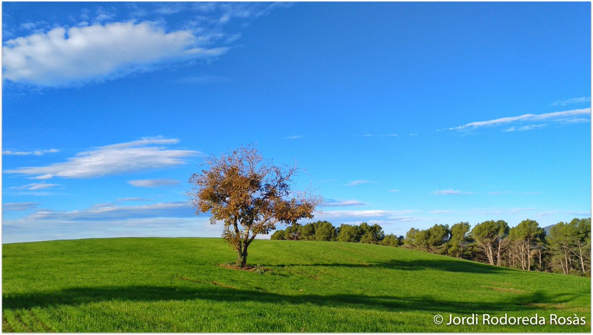 jordirodoreda3's tweet image. Vents de ponent mes secs avui, baixa humitat i molt bona visibilitat aquest matí de dissabte 10 de novembre. Les Franqueses del Vallès.