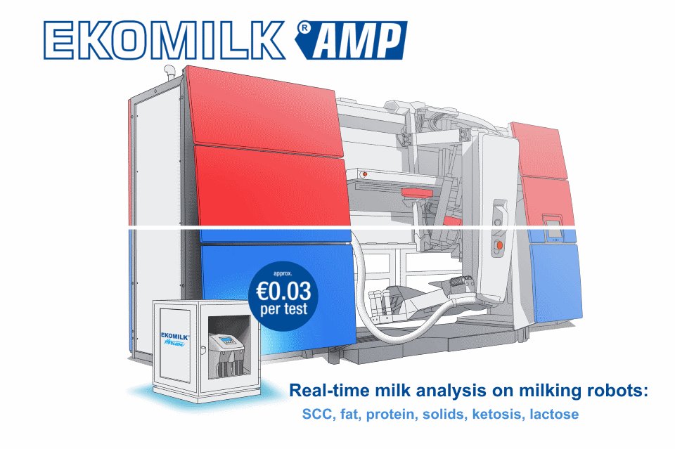 EkomilkFactory's tweet image. Milking robot, robotic milking: worldwide lowest cost/milk sample at highest measurement accuracy in industry for SCC fat proteins solids ketosis : Ekomilk Horizon AMP directly on your robot AMS,VMS #mastitis #farm #milkingrobot #milkquality #dairy #robot animalmonitoring.com/milkingrobot.h…