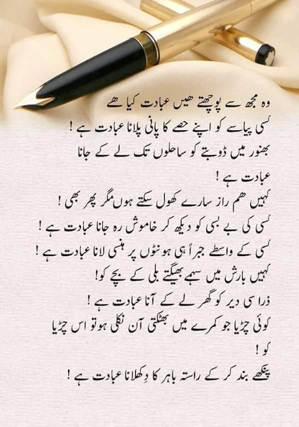 MR_Rajpoot8's tweet photo. #Indeed_🙂 https://t.co/i5dsXOfcLR