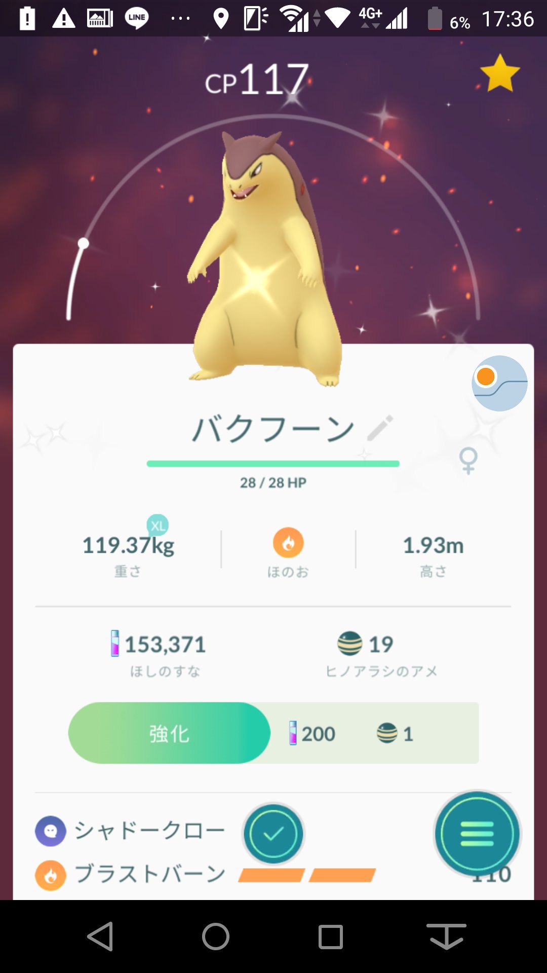 ヒノアラシデイ Twitter Search Twitter