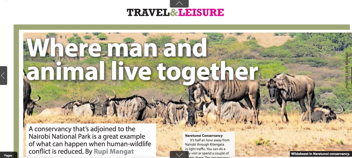 pauludoto's tweet photo. Great story from #Kenya's first born national #park, barely a month before it turns 72. Besides world class #game viewing, the park provides for corporate events, weddings,  picnics, team building, music video events, bush dinners, video and film production. #WorthMoreAlive https://t.co/zLoTa2nEVz