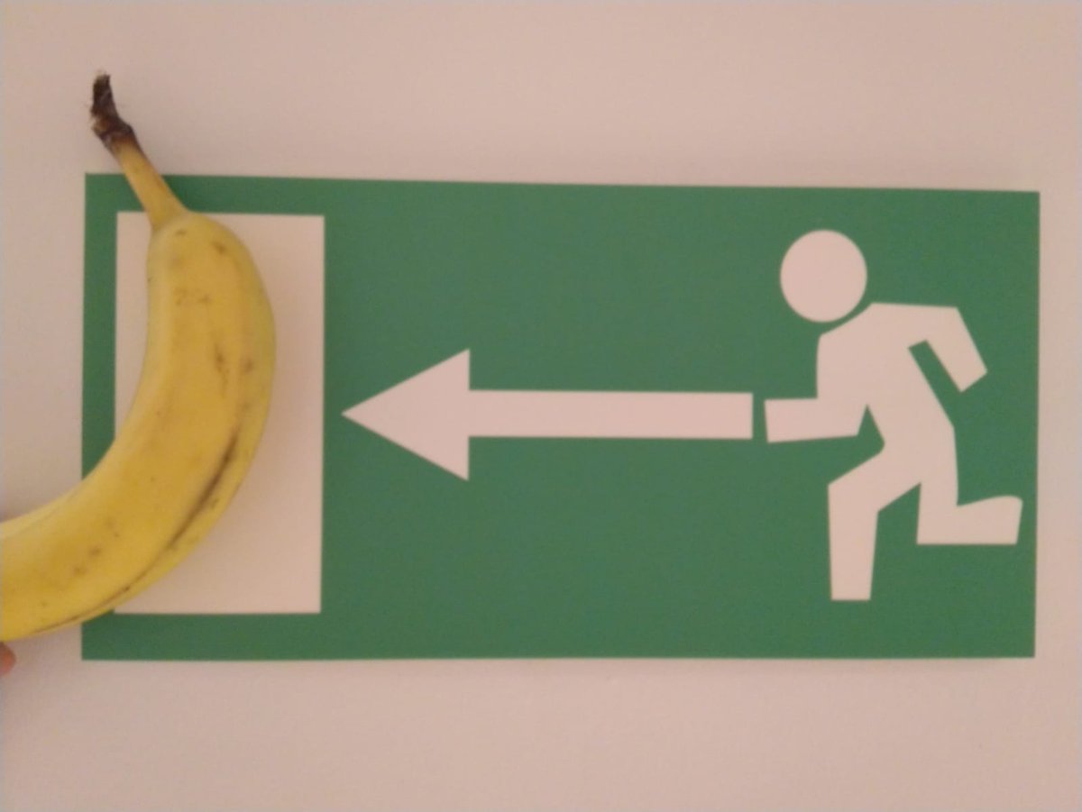MuseomixBE's tweet photo. Let's continue the #BananaChallenge ! #Museomix #MuseomixBE @museomixCH @MuseomixEC @Museomix06 @MuseomixNord @museomixIT @MuseomixNdie @museomixidf @MuseomixZ https://t.co/HXGvMMjrR4